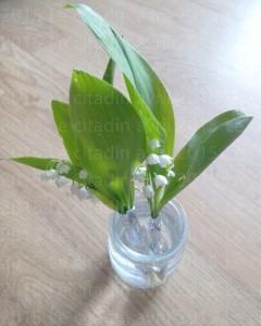 Bonne fin de 1er mai à toutes et à tout les auditeurs de Bernay-radio.fr… Bonne fin de 1er mai à toutes et à tout les auditeurs de Bernay-radio.fr…