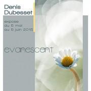 Exposition  » EVANESCENT » Denis Dubesset  à  Fontaine Obscure | Aix