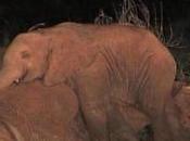 Rappelez-vous votre humanité...