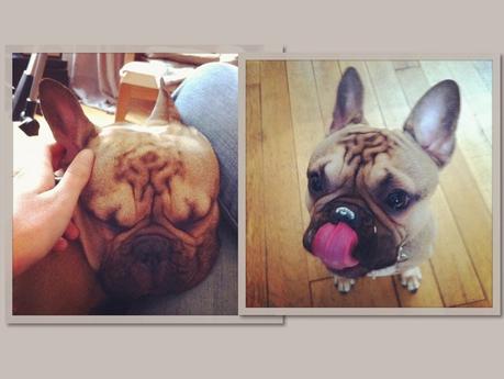 UNE VIE SOUS INSTAGRAM # 25