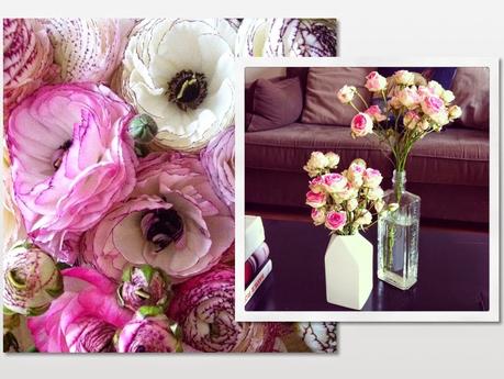 UNE VIE SOUS INSTAGRAM # 25