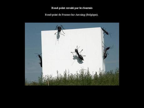 Divers - Les ronds points - 1