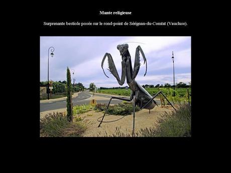 Divers - Les ronds points - 1