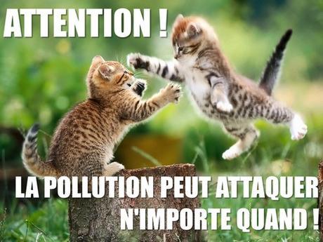 attention la pollution attaque