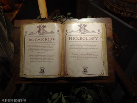 Harry Potter Herbologie