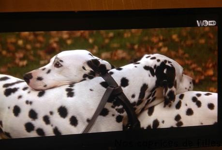 Ma semaine en images #13