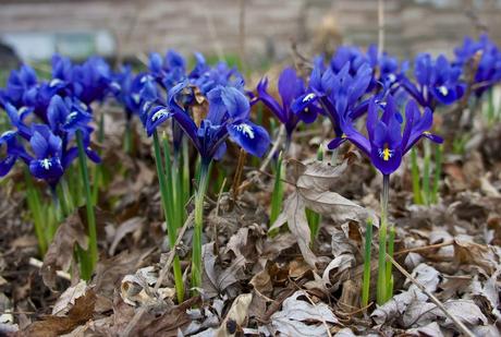 anteketborka.blogspot.com, flowerpower2015 2