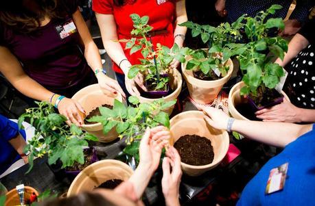 Mettez vous au vert ! Secret_Green_Party_Truffaut_123