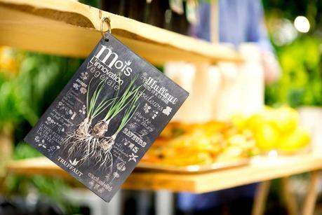 Mettez vous au vert ! Secret_Green_Party_Truffaut_44