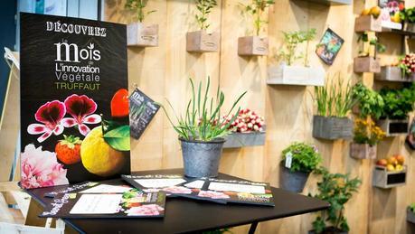 Mettez vous au vert ! Secret_Green_Party_Truffaut_1