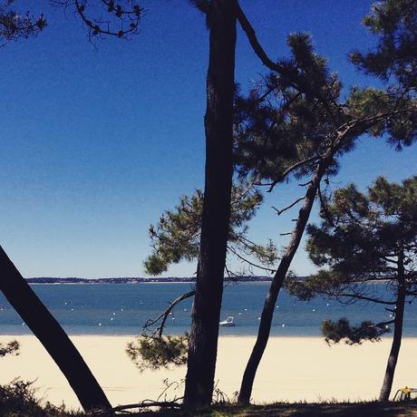 Notre mois d'Avril sur Instagram