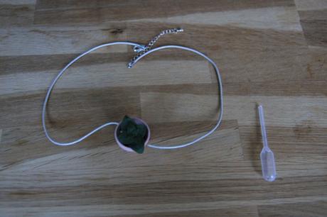 Bijou végétal j’ai testé le collier végétal Bijou végétal j’ai testé le collier végétal