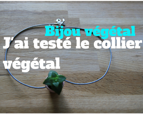 Bijou végétal j’ai testé le collier végétal Bijou végétal j’ai testé le collier végétal