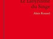 [note lecture] Alain Roussel, Labyrinthe Singe", Jean-Pascal Dubost