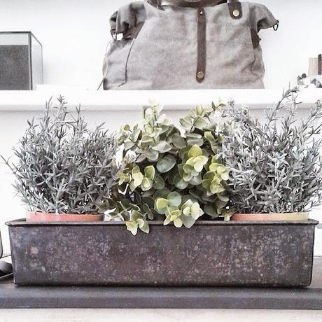 Paris / Joli jour / Photos Atelier rue verte /