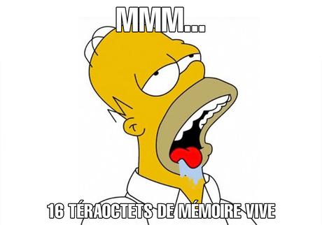 homer16to_