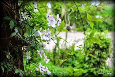 J'ai failli être dans les temps...encore une fois...J'abo...