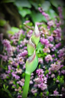 J'ai failli être dans les temps...encore une fois...J'abo...