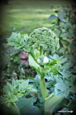 J'ai failli être dans les temps...encore une fois...J'abo...