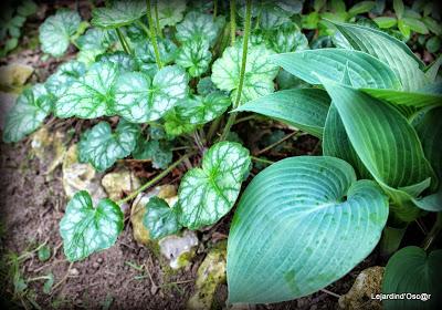 J'ai failli être dans les temps...encore une fois...J'abo...