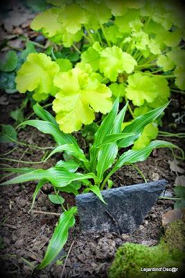 J'ai failli être dans les temps...encore une fois...J'abo...