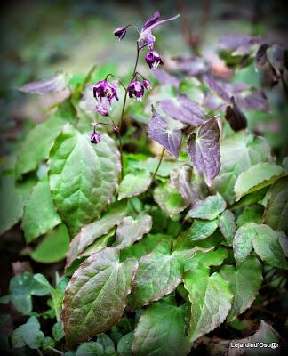 J'ai failli être dans les temps...encore une fois...J'abo...