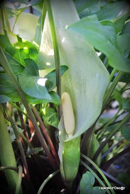 J'ai failli être dans les temps...encore une fois...J'abo...