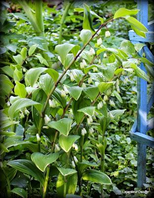 J'ai failli être dans les temps...encore une fois...J'abo...