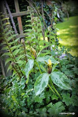 J'ai failli être dans les temps...encore une fois...J'abo...