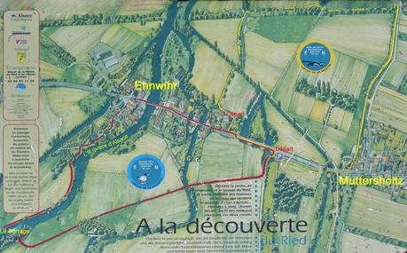 Plan des circuits pédestres autour de Ehnwihr