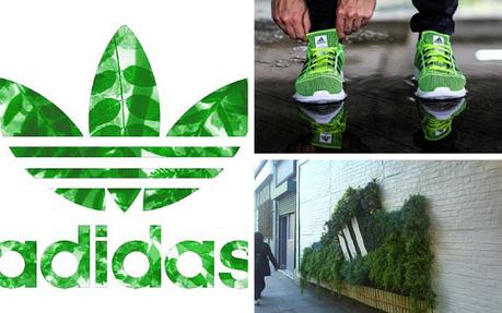 adidas veut créer des chaussures et des vêtements avec les déchets plastiques de l’océan