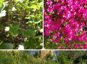 #2015projet52 semaines retard