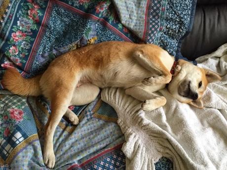 Quelques jours de vacances