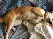 Quelques jours vacances