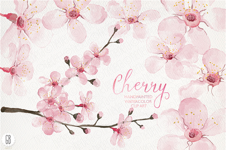 Watercolor cherry blossom, spring - GrafikBoutique
