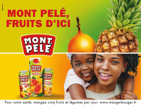 8m2 Mont Pelé 1