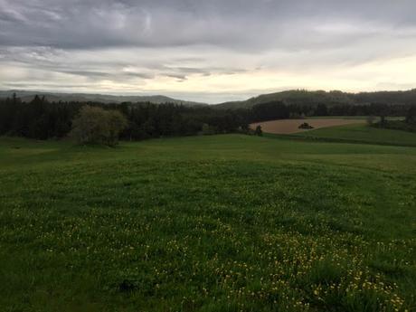 Partir marcher tôt (promenade Forez) #42