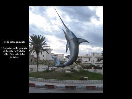 Divers - Les ronds points - 2