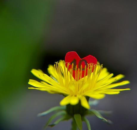 anteketborka.blogspot.com, 10x10 mai 7