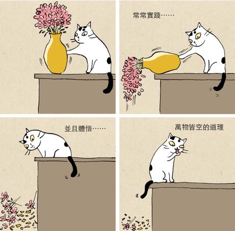 Amour des chats toujours…