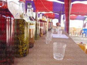 Le « FestiBio » au Togo ses sur Bernay-radio.fr…