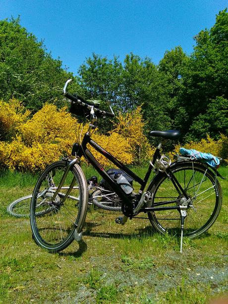 Rambouillet, à vélo dans la forêt.