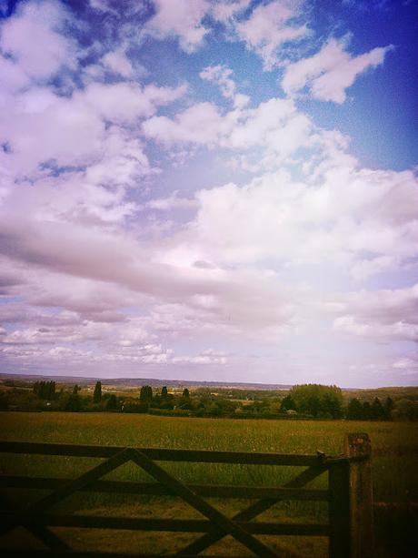 Rambouillet, à vélo dans la forêt.