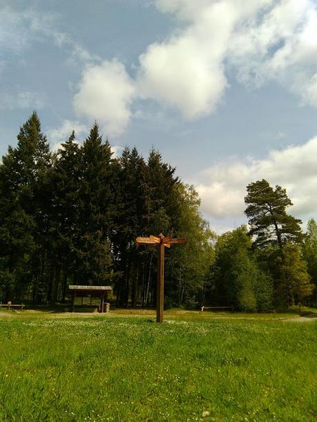 Rambouillet, à vélo dans la forêt.