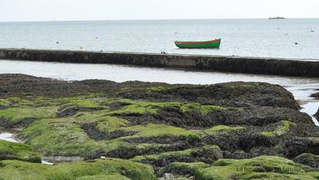 vendee-velo-noirmoutier