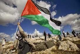 Appel en justice de Palestiniens pour récupérer des terres confisquées par Israël