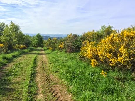 Travaux municipaux et réflexions post-élections...