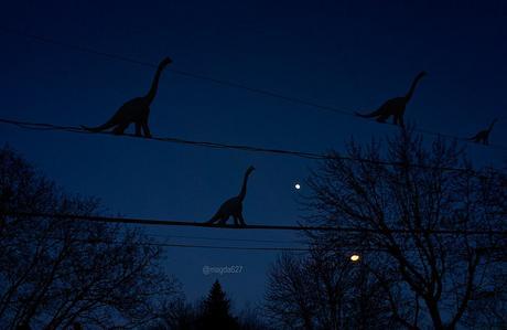 anteketborka.blogspot.com, ciel nuit  c