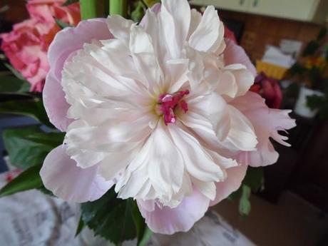 Divers - Le jardin en blanc et en bleu