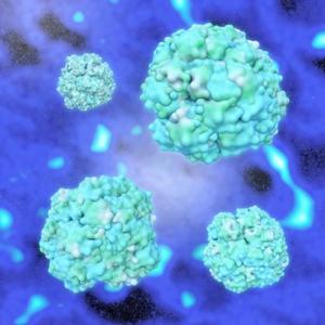 CANCER de la PROSTATE: L'espoir d'une chimio-immunothérapie – Nature